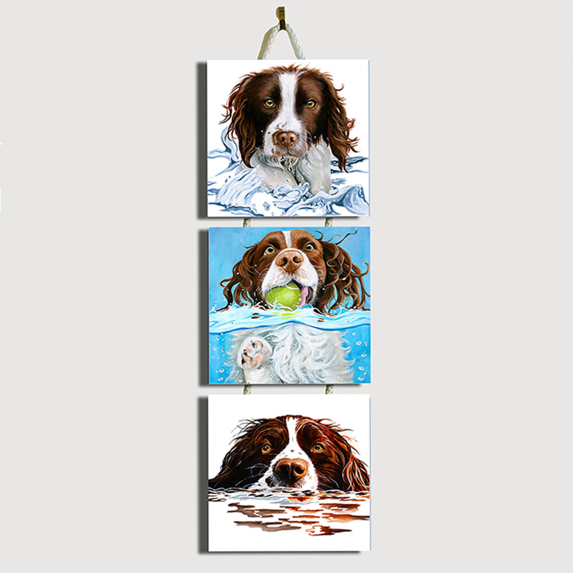 Liver Springer Spaniels