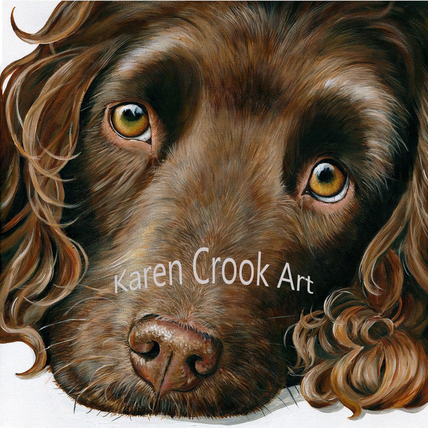 Bracken